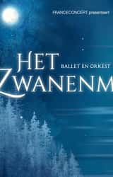 Cover image for Swan Lake