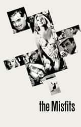 Cover image for The Misfits