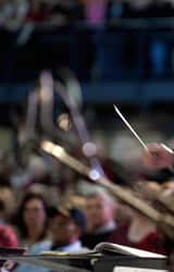 Cover image for Tania Kross