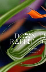 Cover image for Down The Rabbit Hole 2025