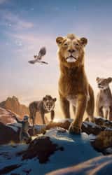 Cover image for Mufasa: The Lion King