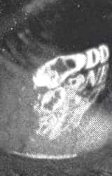 Cover image for DIP Nacht - ODD ONE OUT