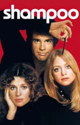 Cover image for Shampoo