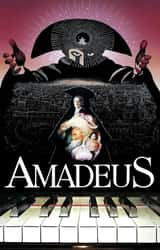 Cover image for Amadeus