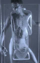 Cover image for Concentrated Motion