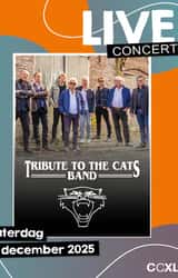 Cover image for Tribute To The Cats Band