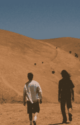 Cover image for CHAMOS - ADE