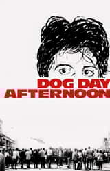 Cover image for Dog Day Afternoon