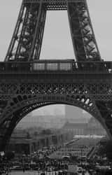 Cover image for Dave