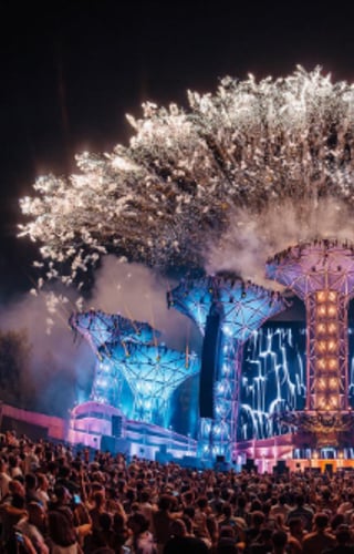 Cover image for Mysteryland