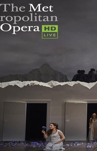 Cover image for Opera: La Sonnambula (Bellini)