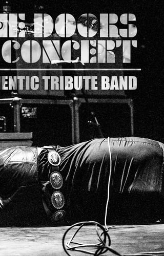Cover image for The Doors In Concert