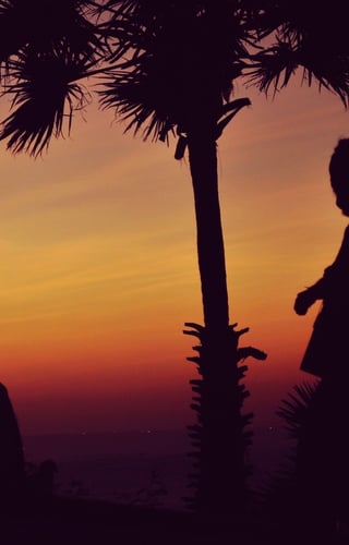 Cover image for Jah Lil