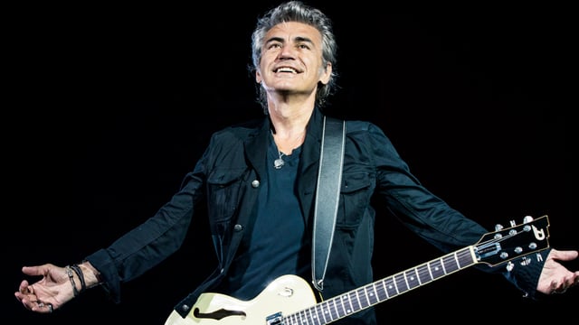 Cover image for Ligabue