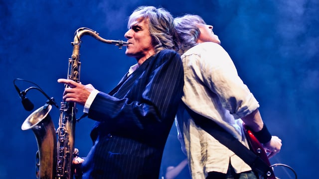 Cover image for The Dire Straits Experience